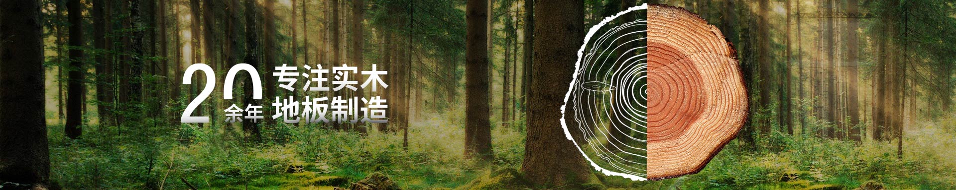 qy千亿国际20��רעʵľ�ذ�